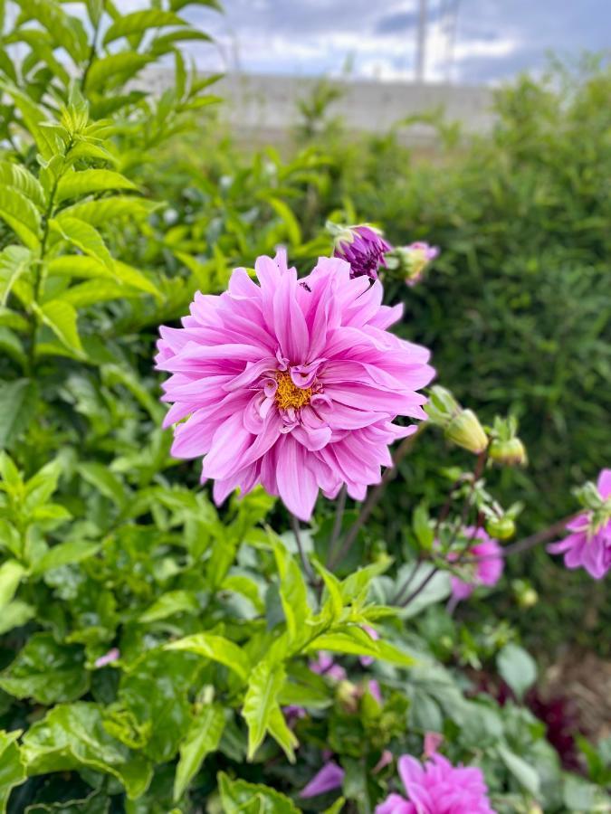 Hospedaje El Girasol Tababela Quito Esterno foto