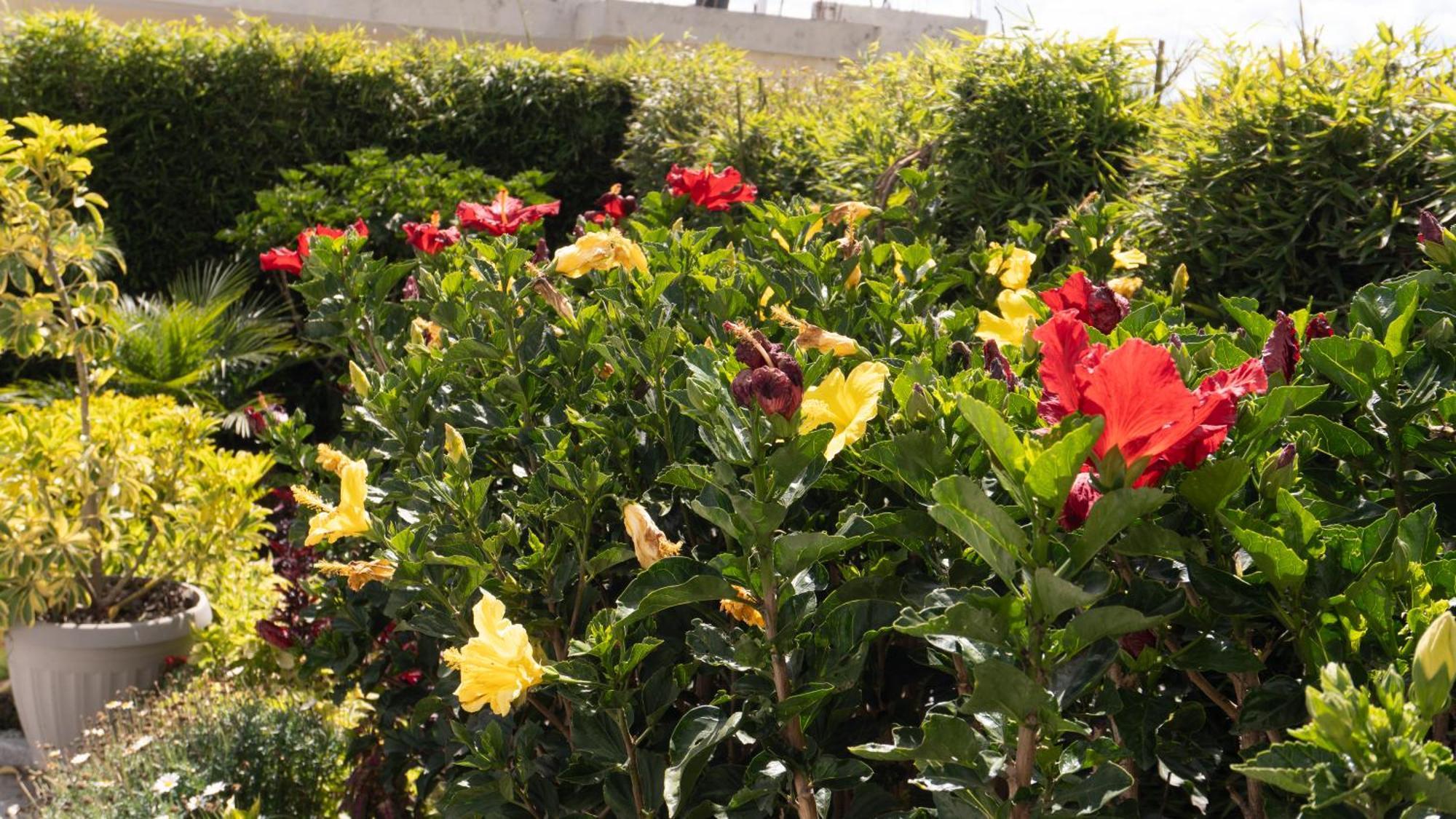 Hospedaje El Girasol Tababela Quito Esterno foto